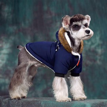 Dog Apparel - Small Dog Warm Cotton Clothing