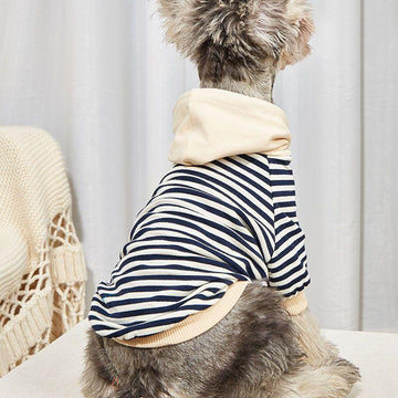 Dog Apparel - Small Dog Casual Fashion Sweatshirt