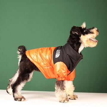 Dog Apparel - Small Dog Warm Cotton Clothing