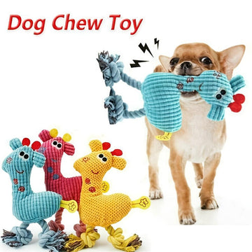 Chewy Toys- Dog Squeaky Toys