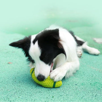 Dog Balls-Dog Toy Sounding Football