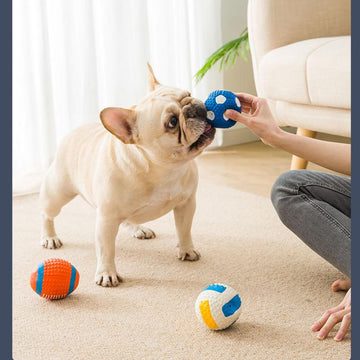 Dog Balls-Football Basketball Volleyball