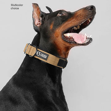 Dog  Collar - Large Dog Collar